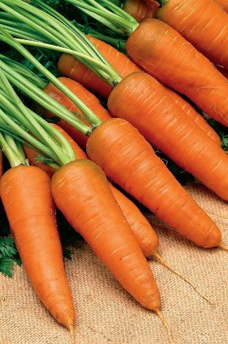 Carrots – Nature’s Crunchy Powerhouse of Health